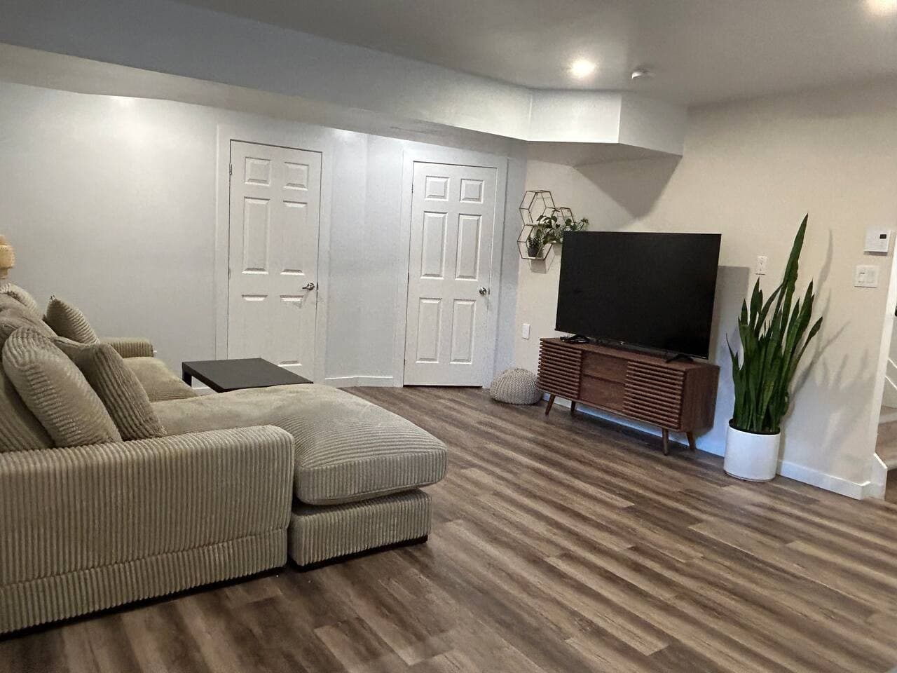 Basement Tv Room