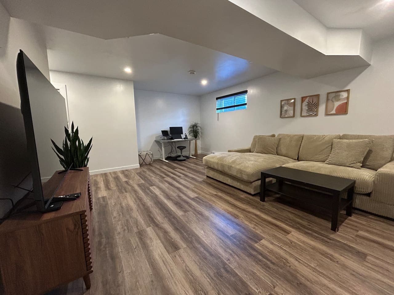 Basement Tv Room & work space