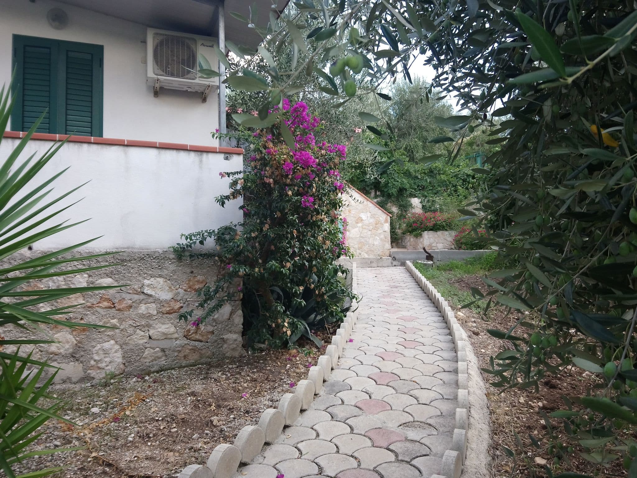Gallery Image 26