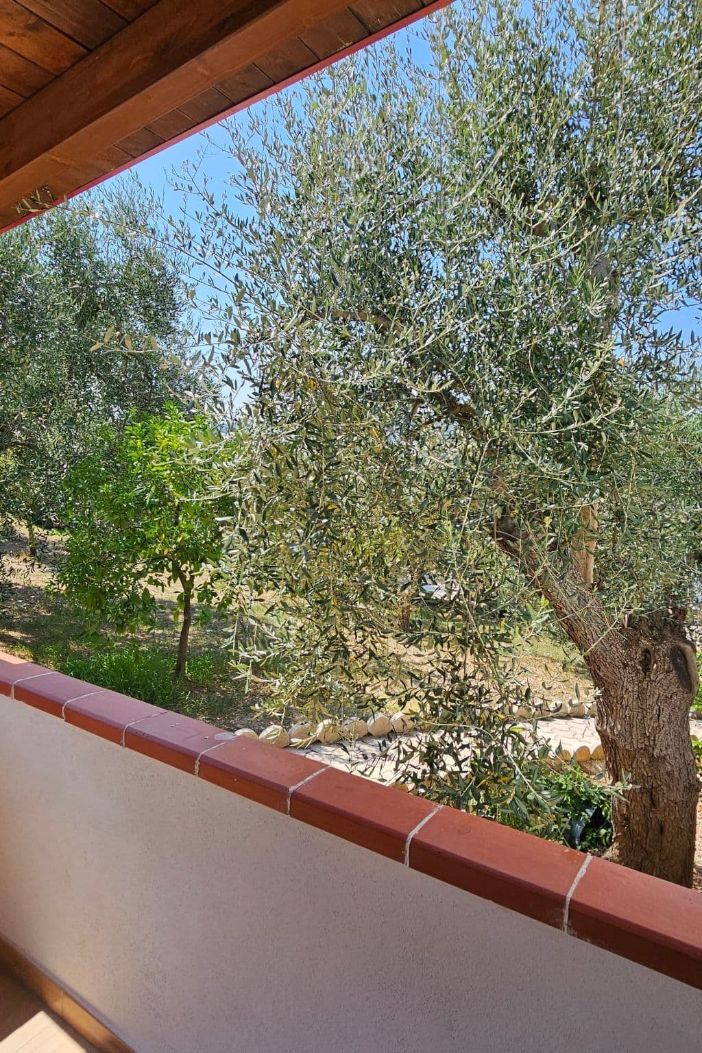 Gallery Image 53