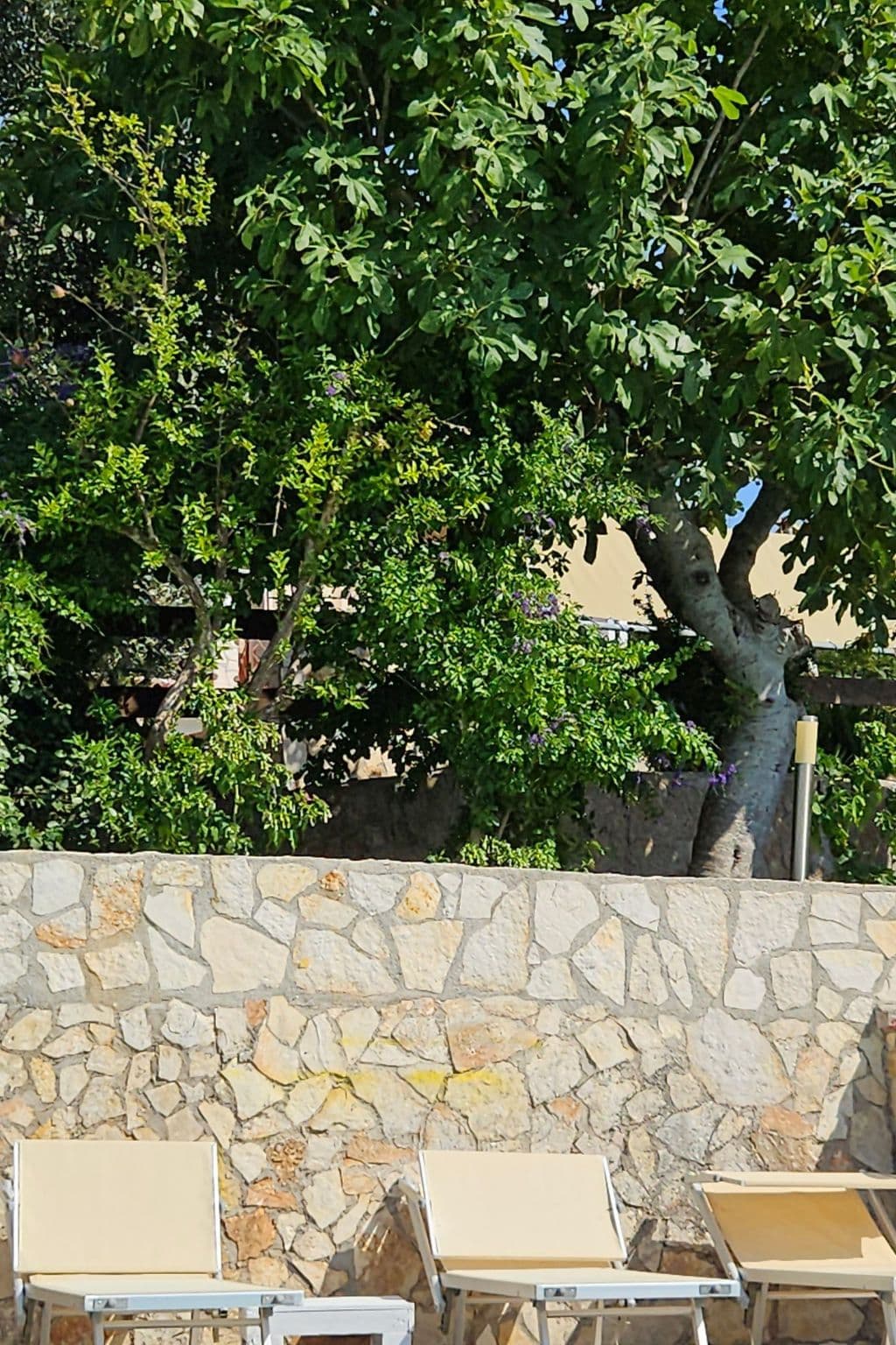 Gallery Image 60