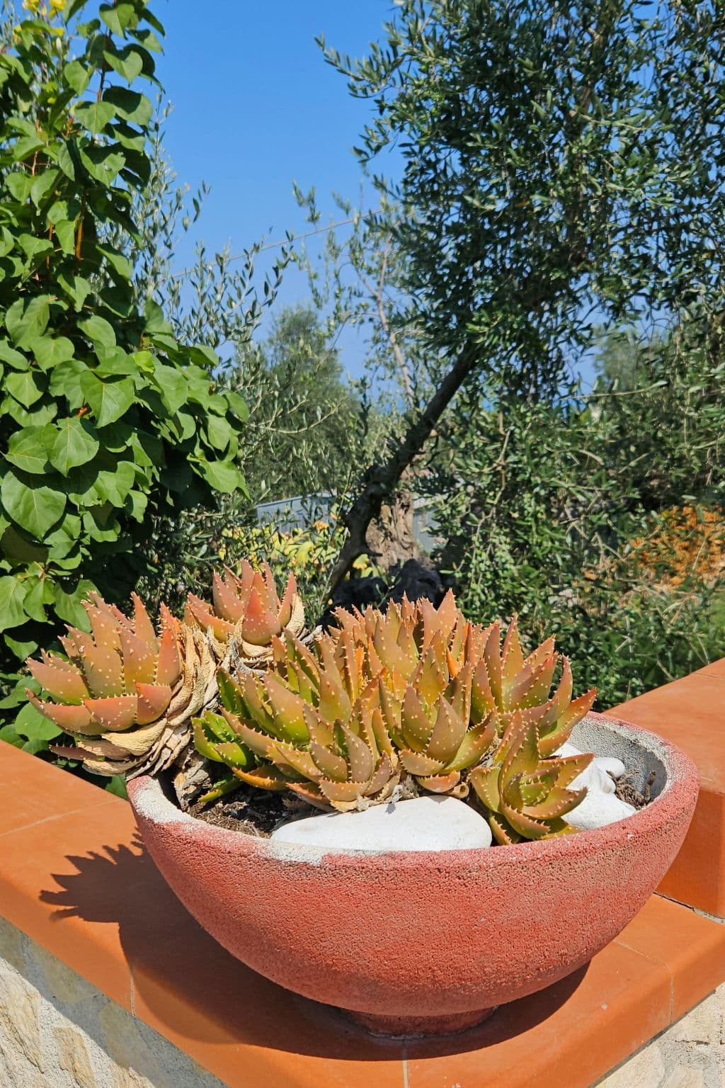 Gallery Image 37
