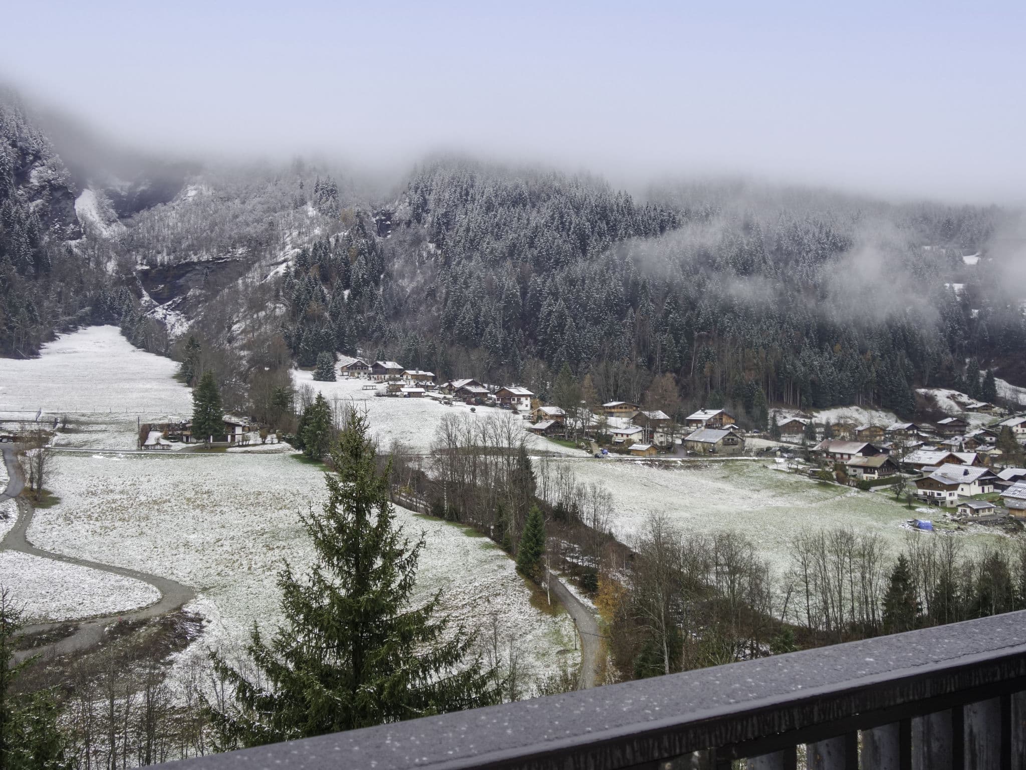 View