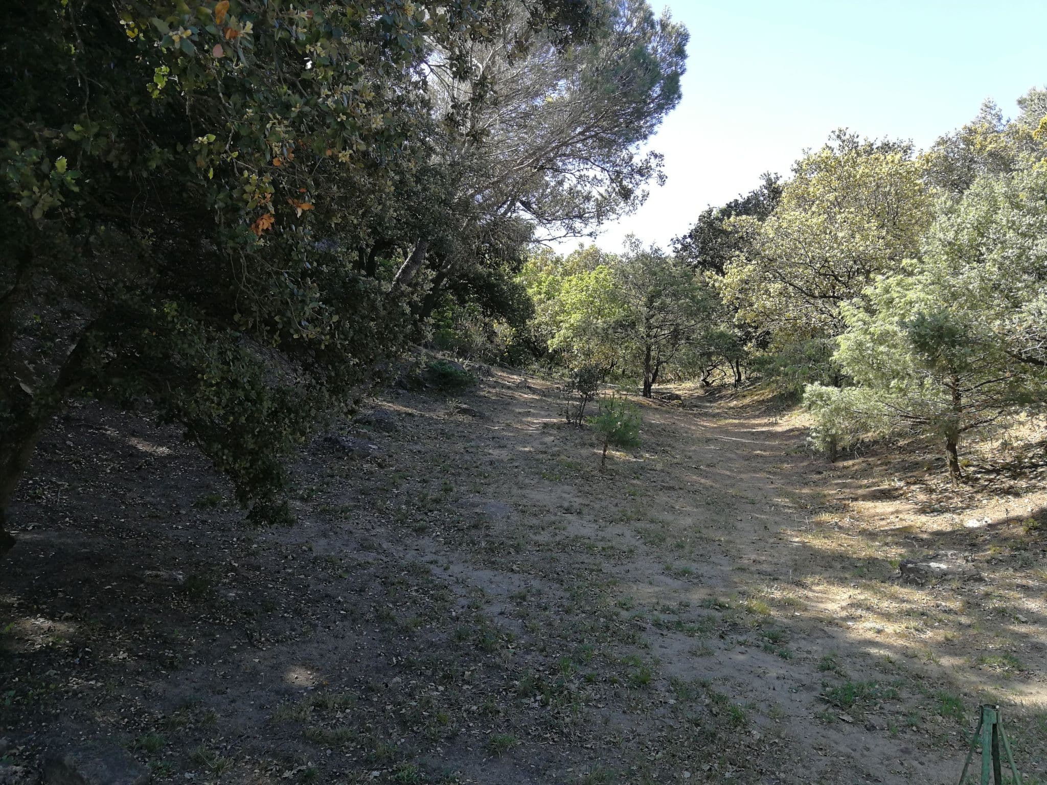 View