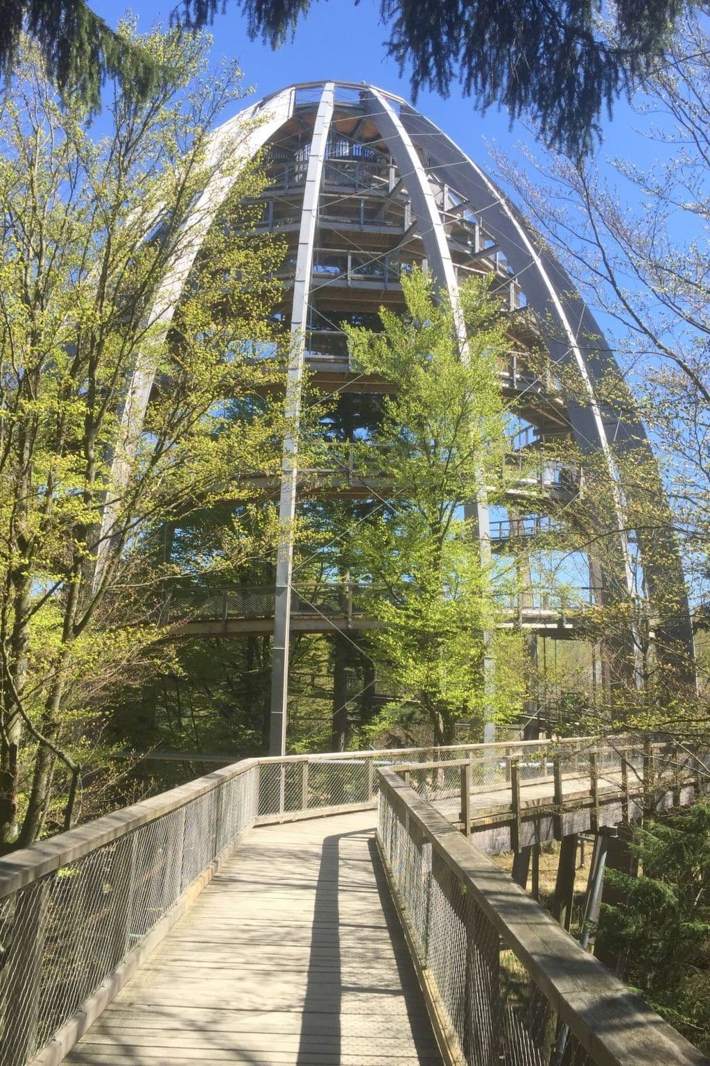 Gallery Image 14