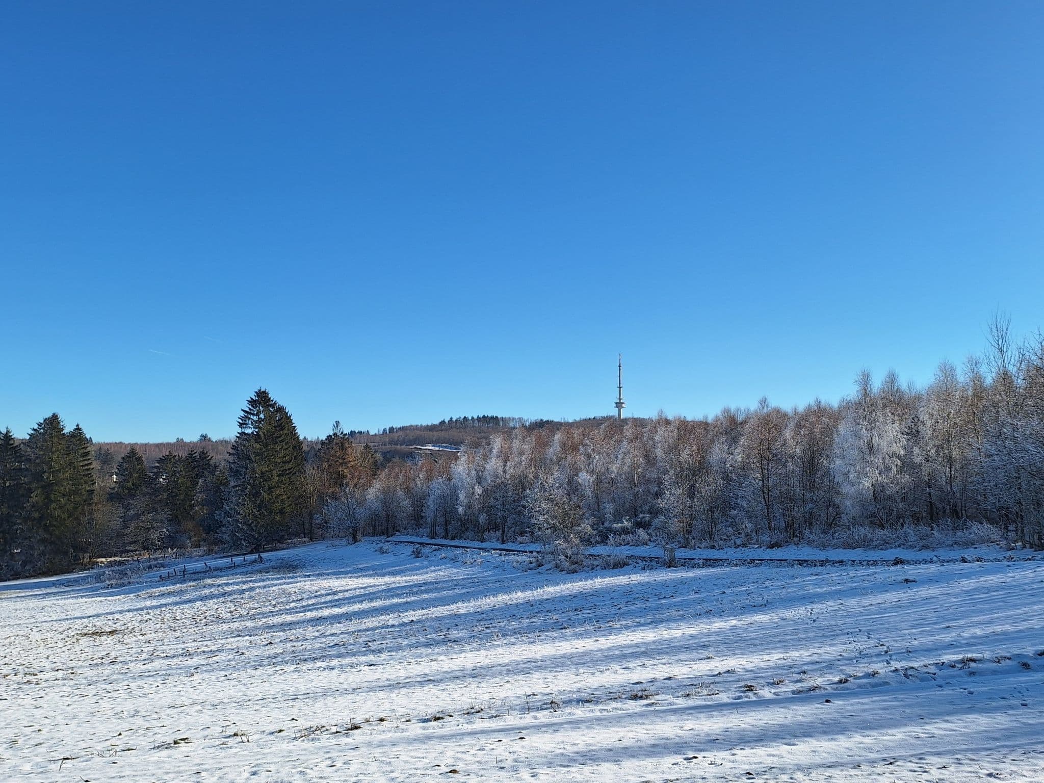 View