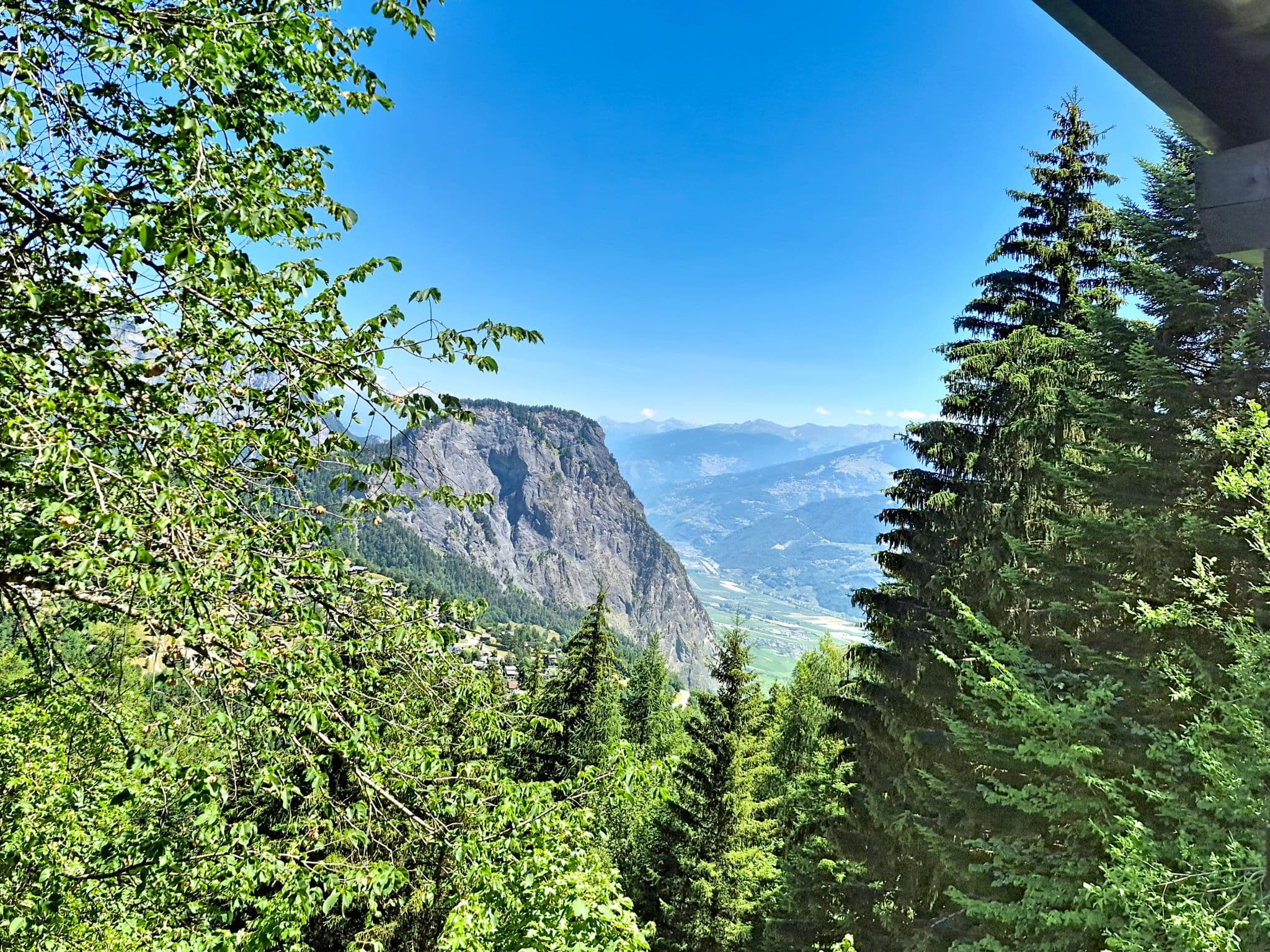 View