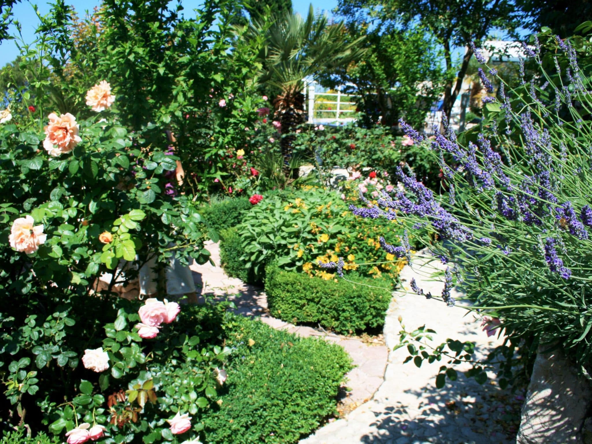 Gallery Image 58