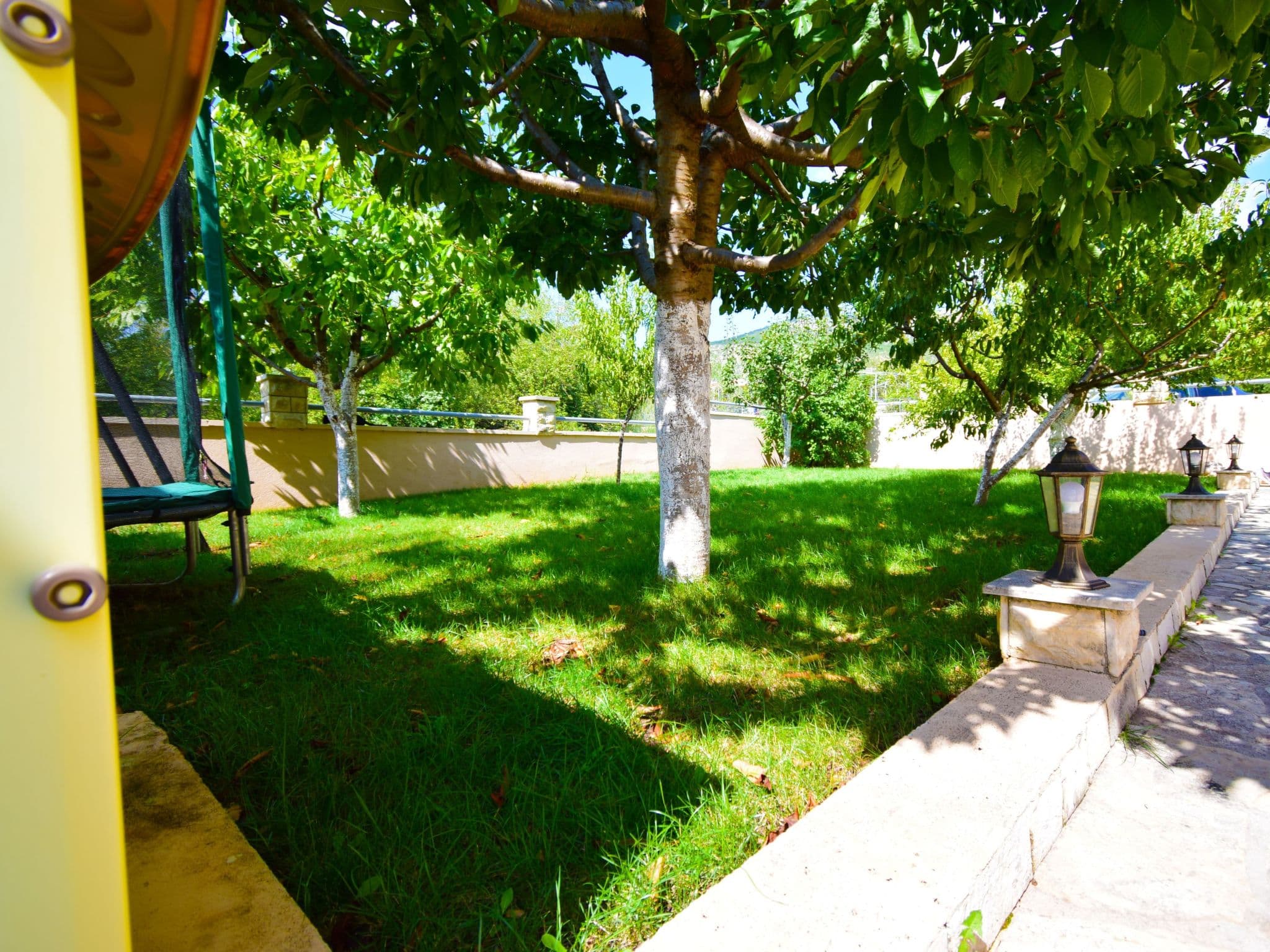 Gallery Image 37