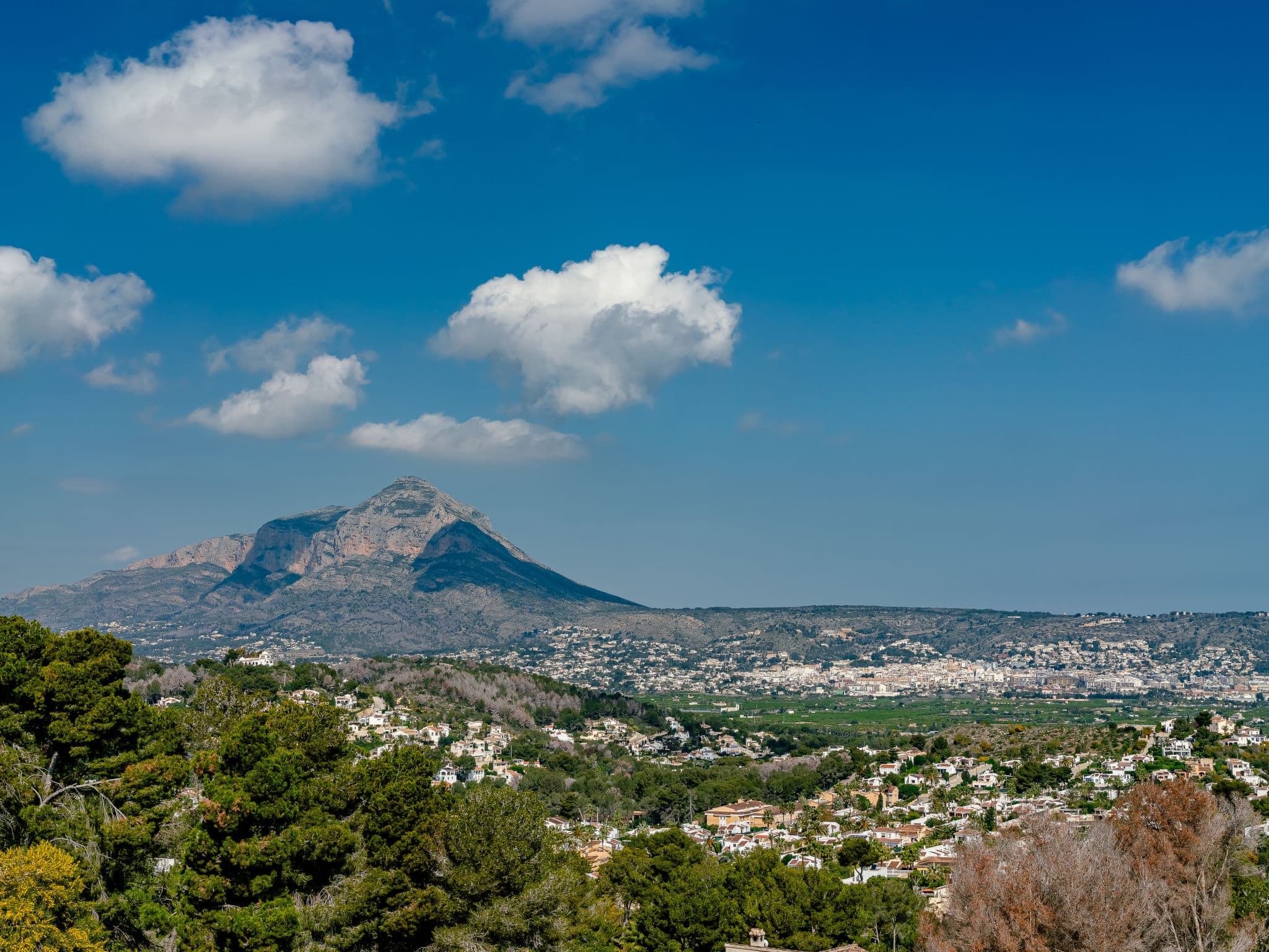 View