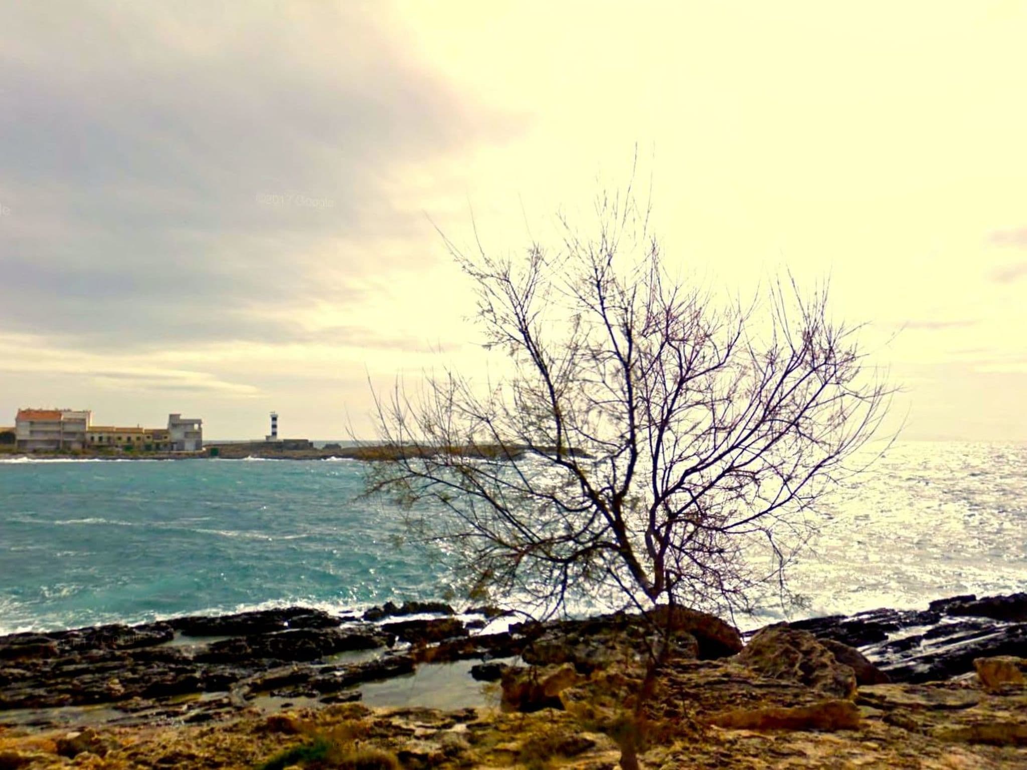 View