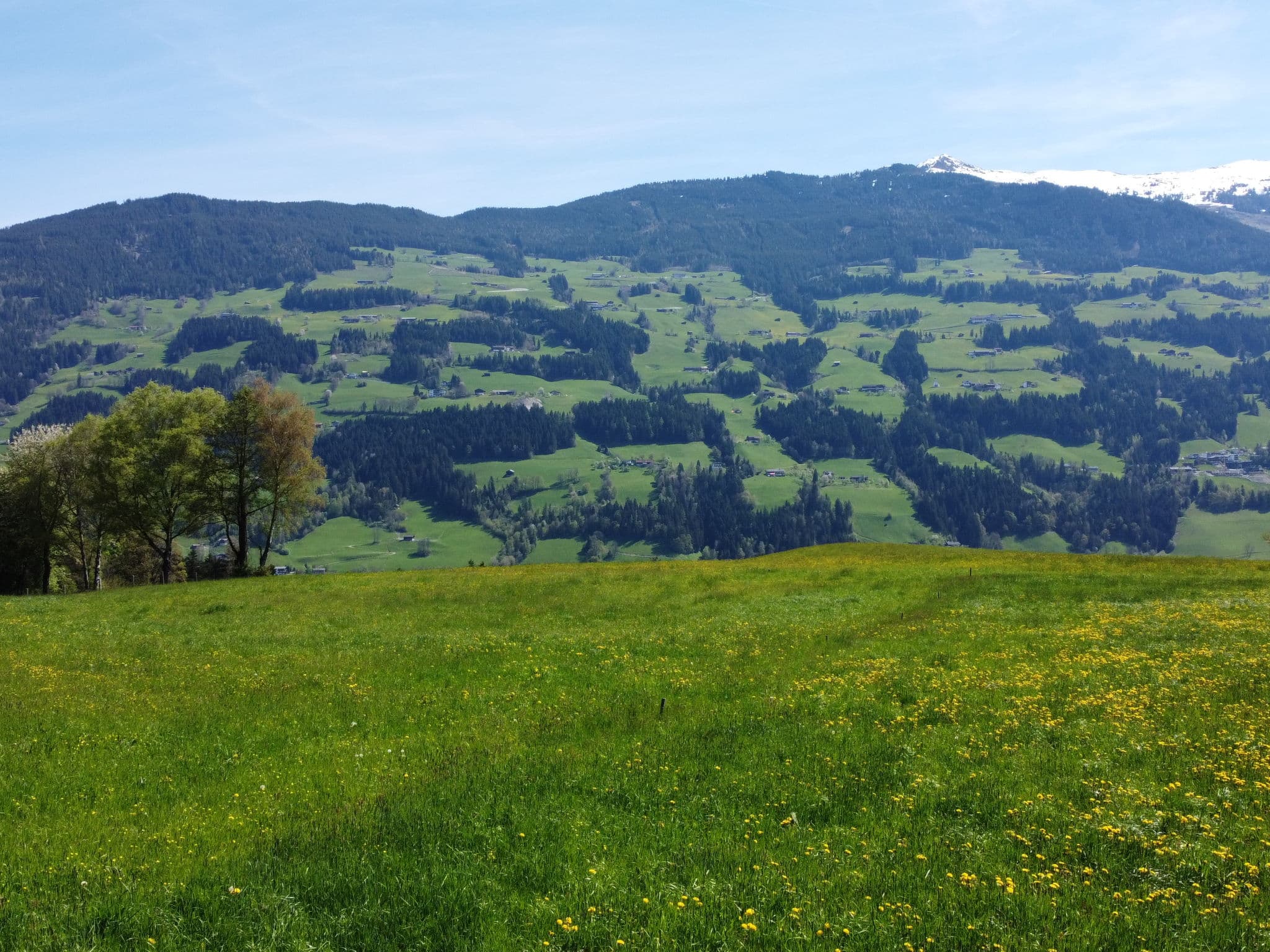 View