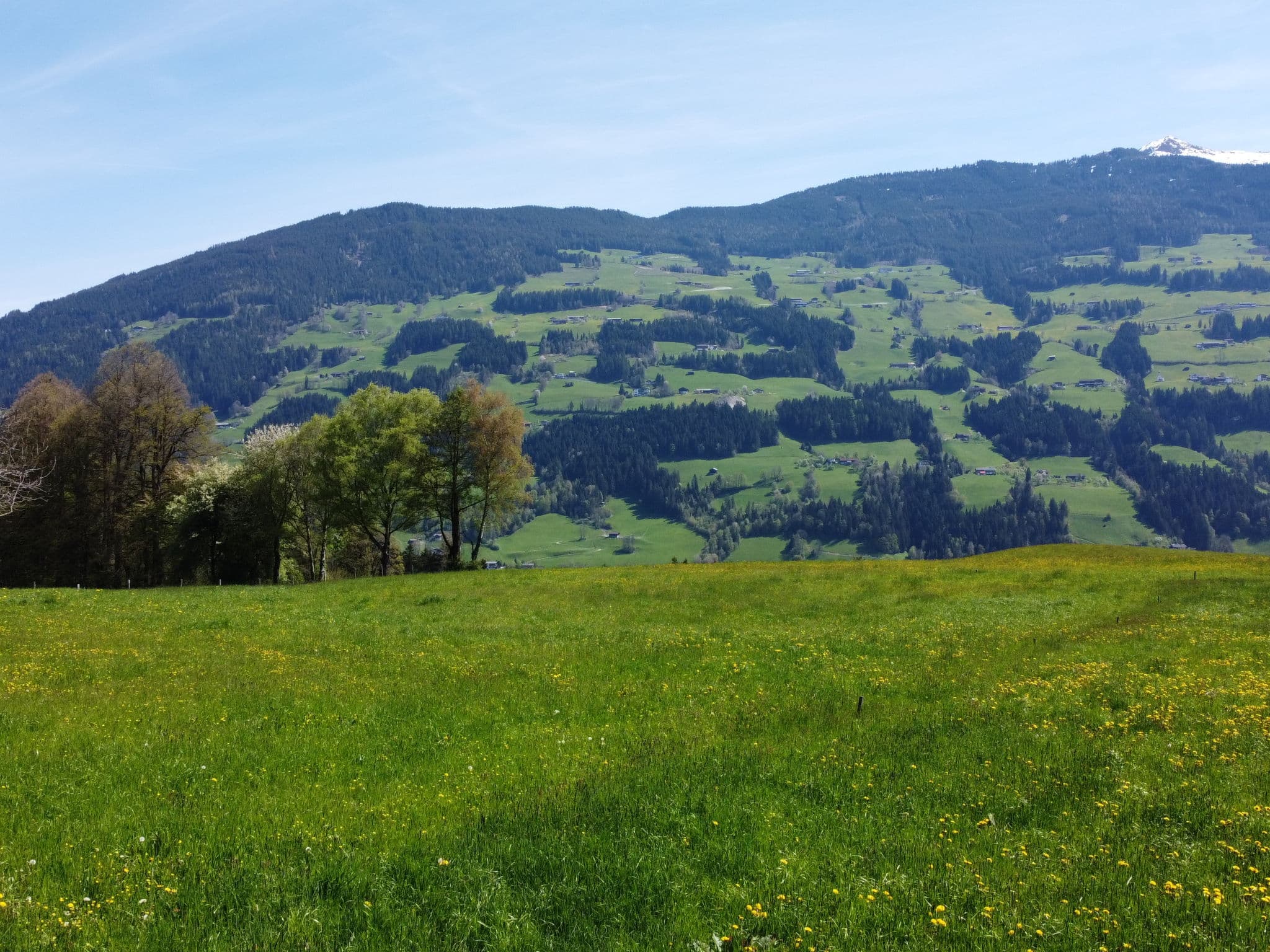 View