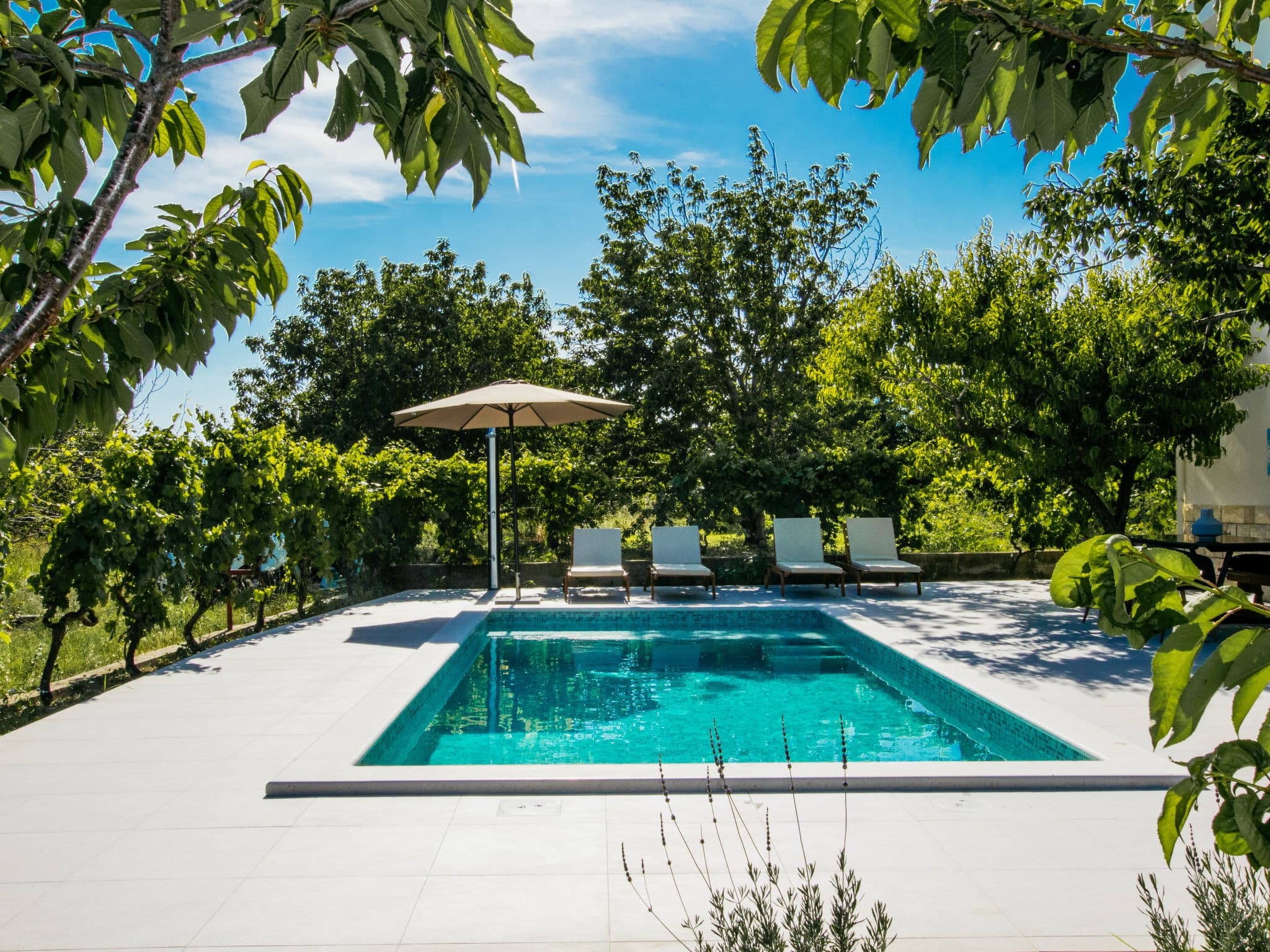 Pool Outdoor