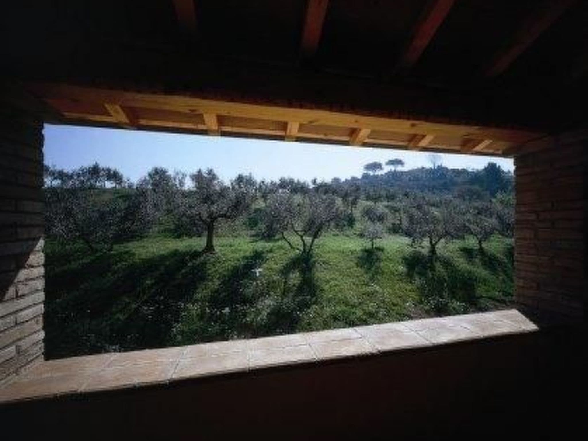 Gallery Image 16
