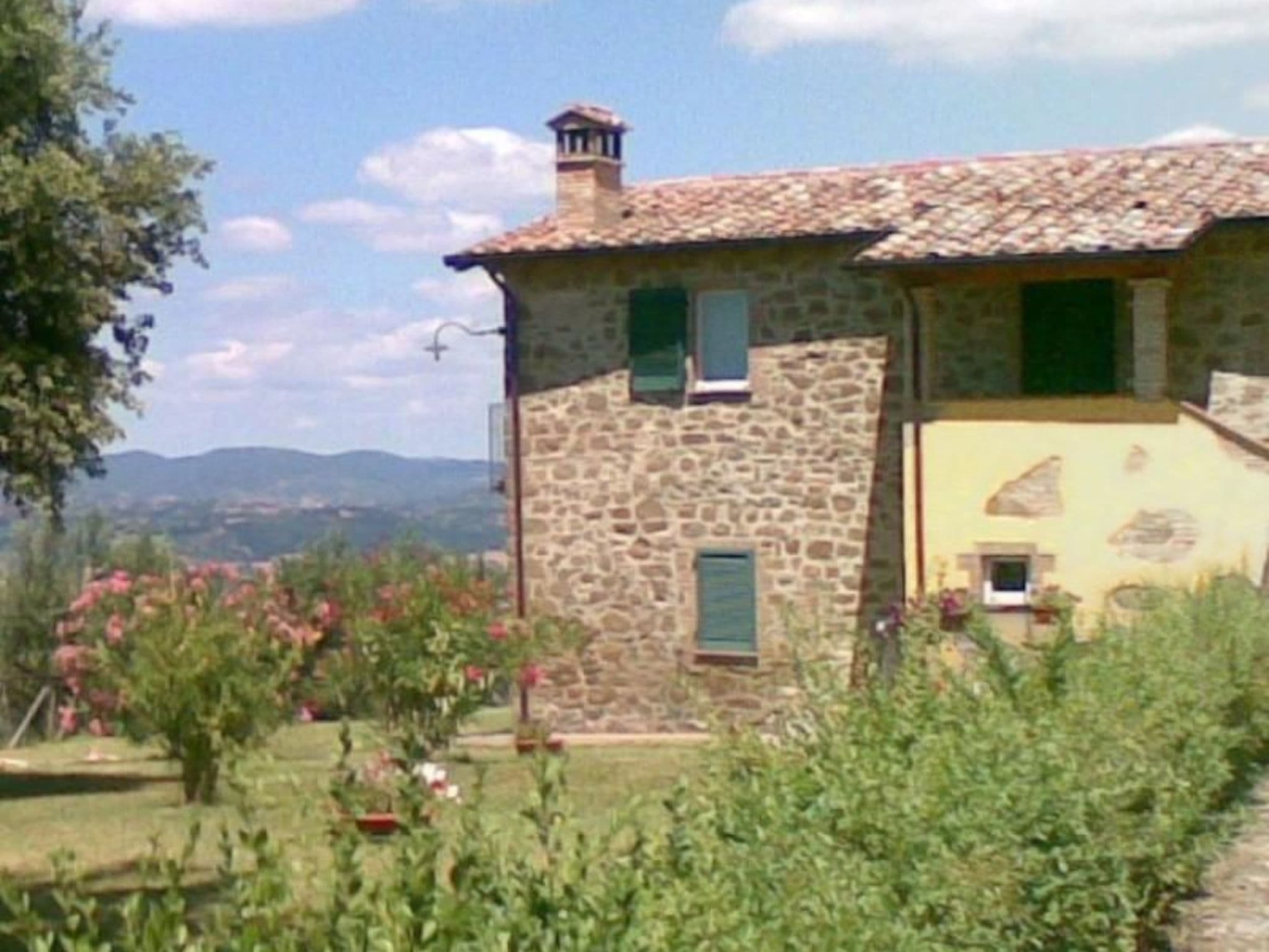 Gallery Image 17