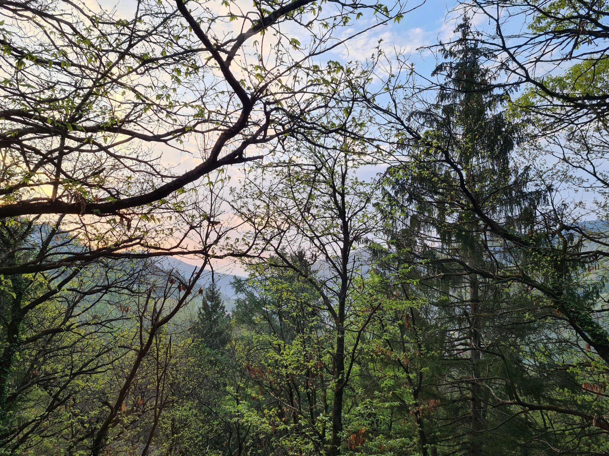 View