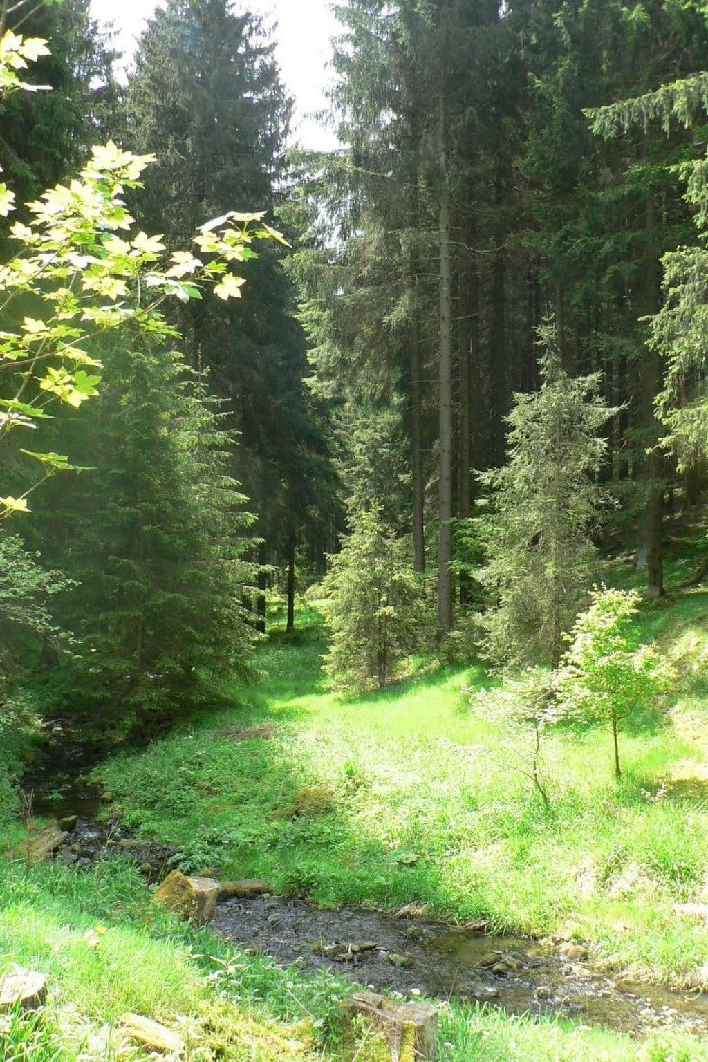 Gallery Image 24