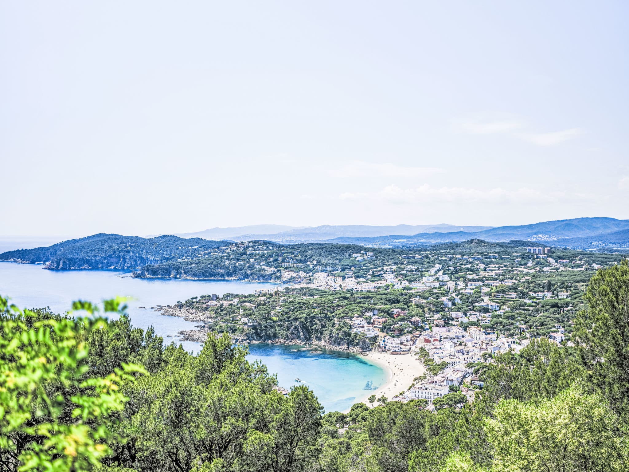 View