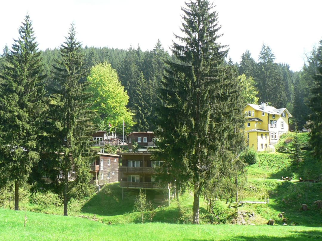 Large Image