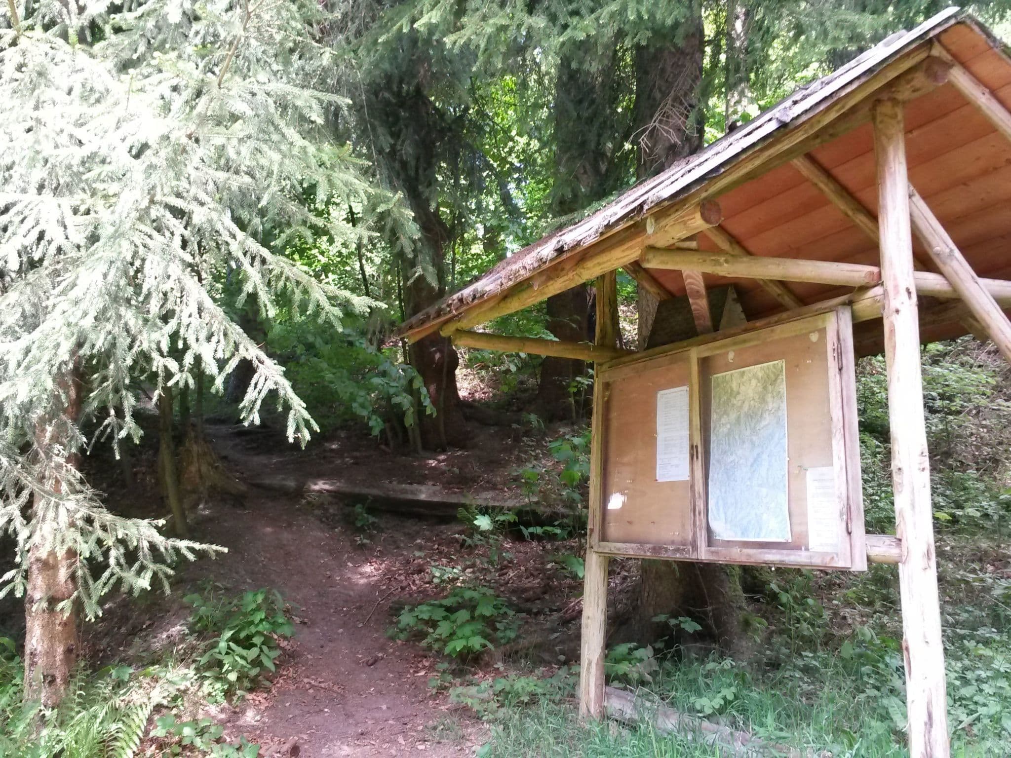 Gallery Image 10