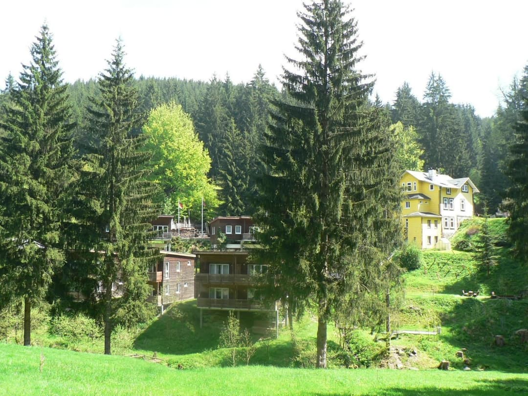 Large Image