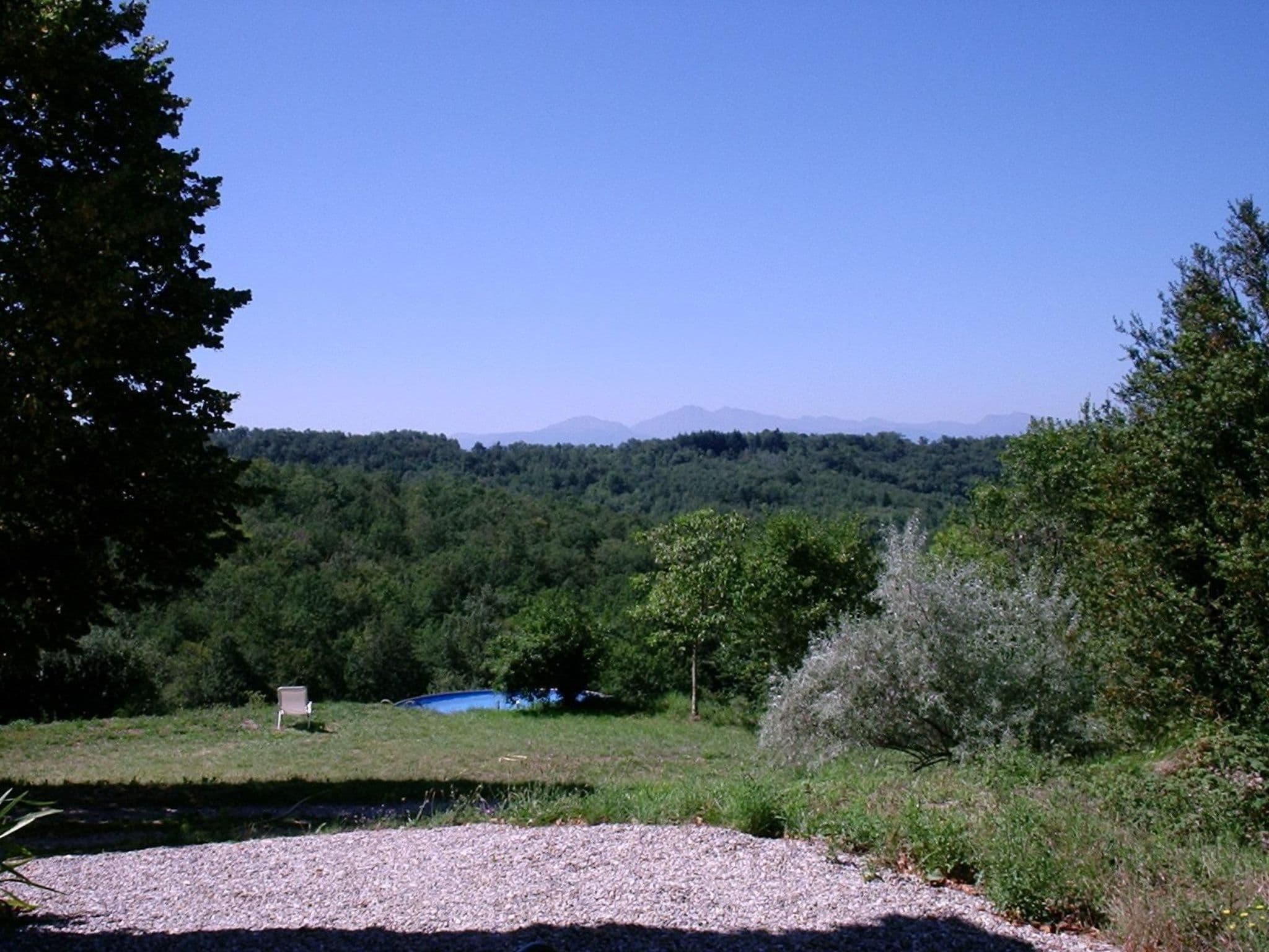 Gallery Image 7