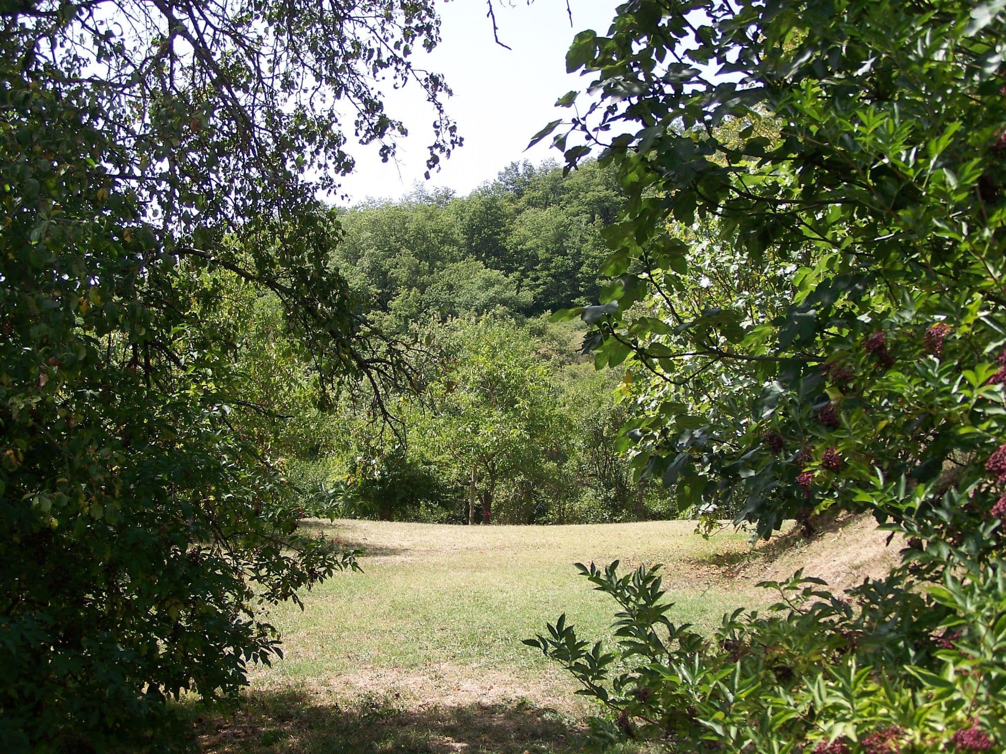 Gallery Image 22
