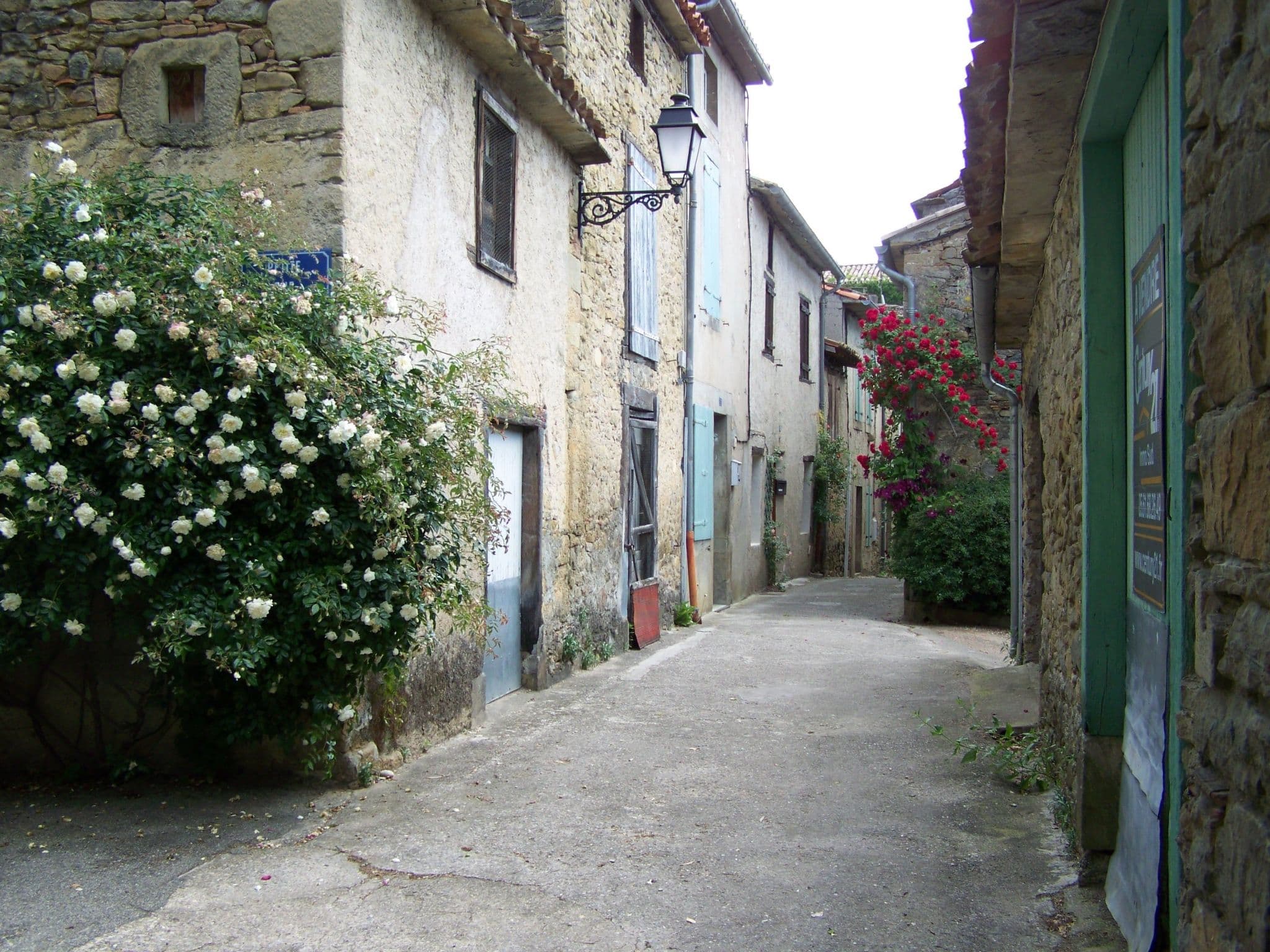 Gallery Image 25