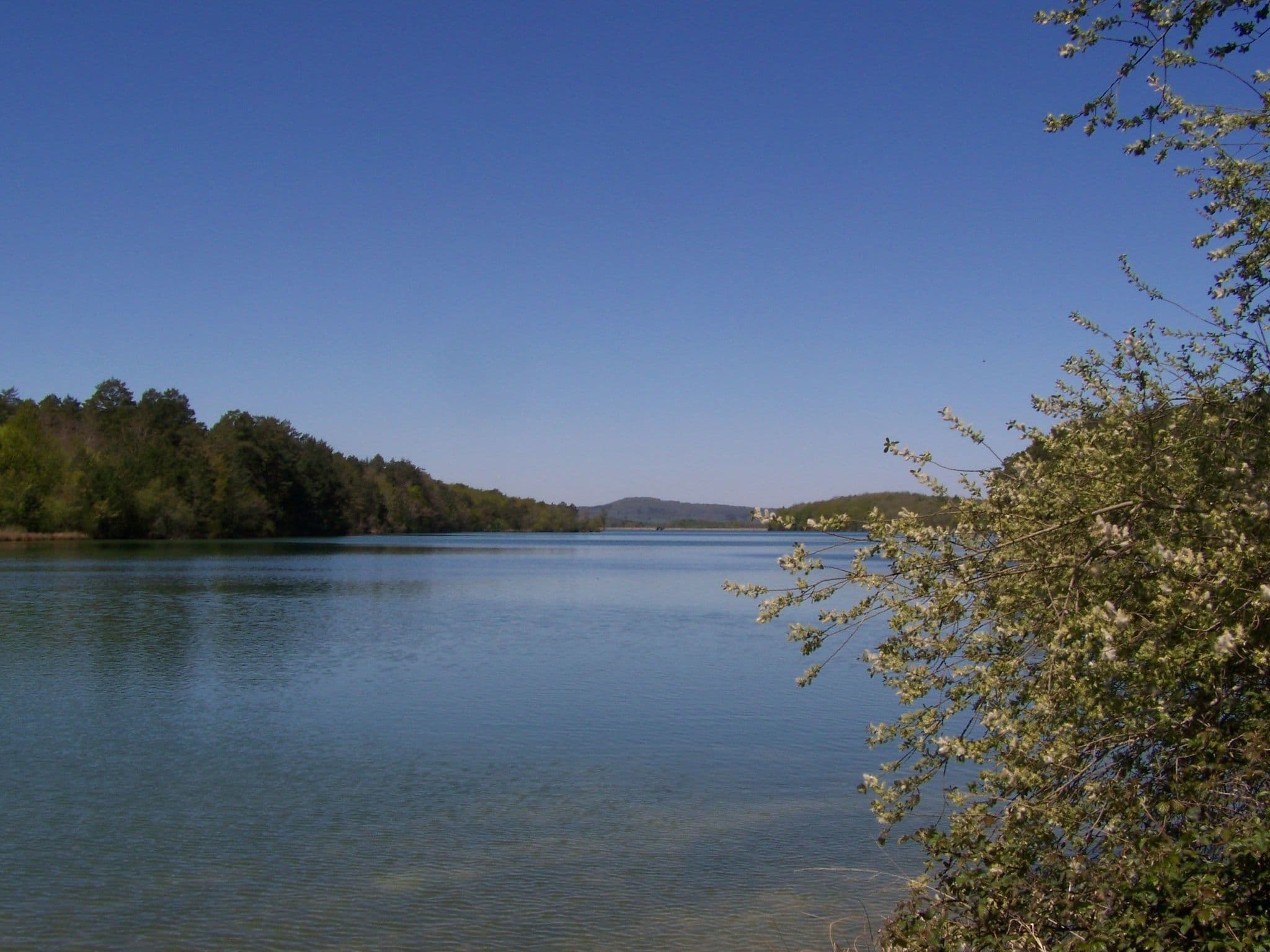 Gallery Image 27