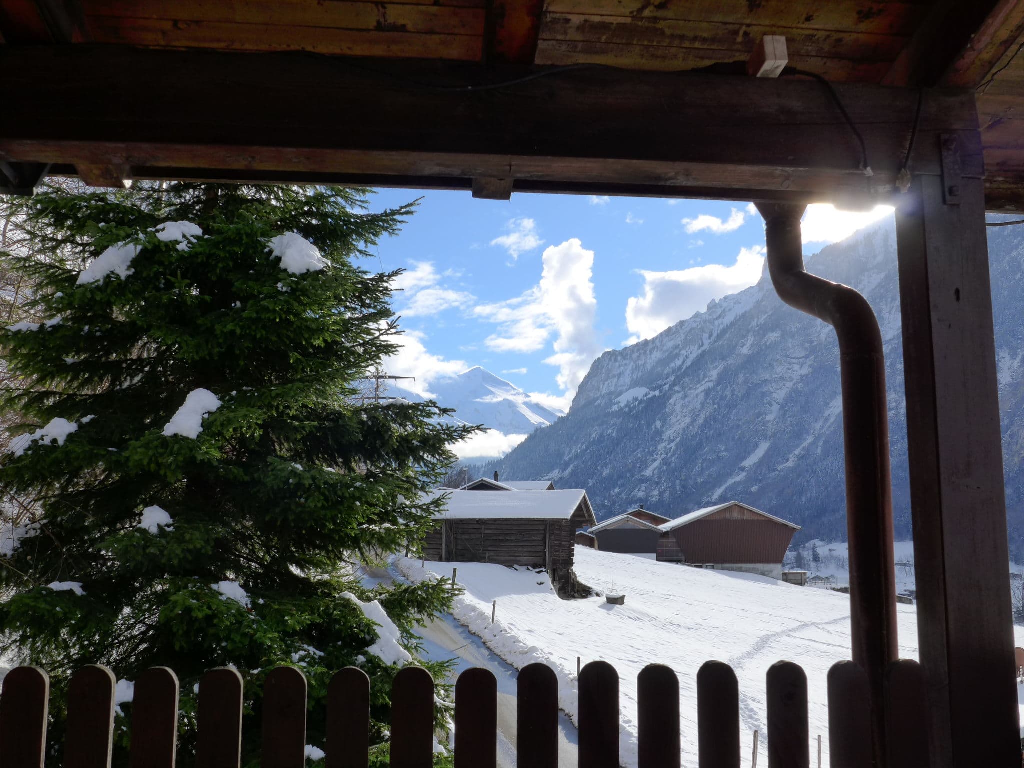 View