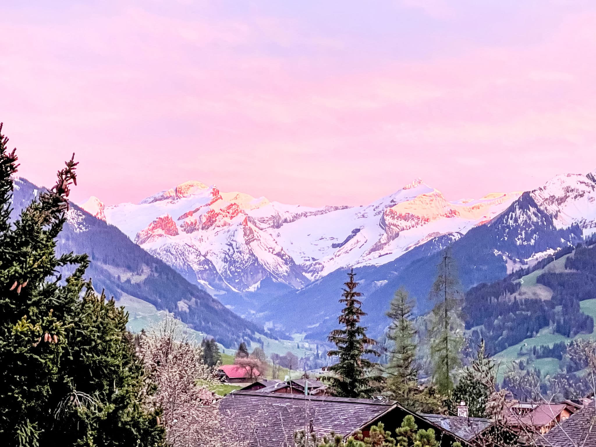 View