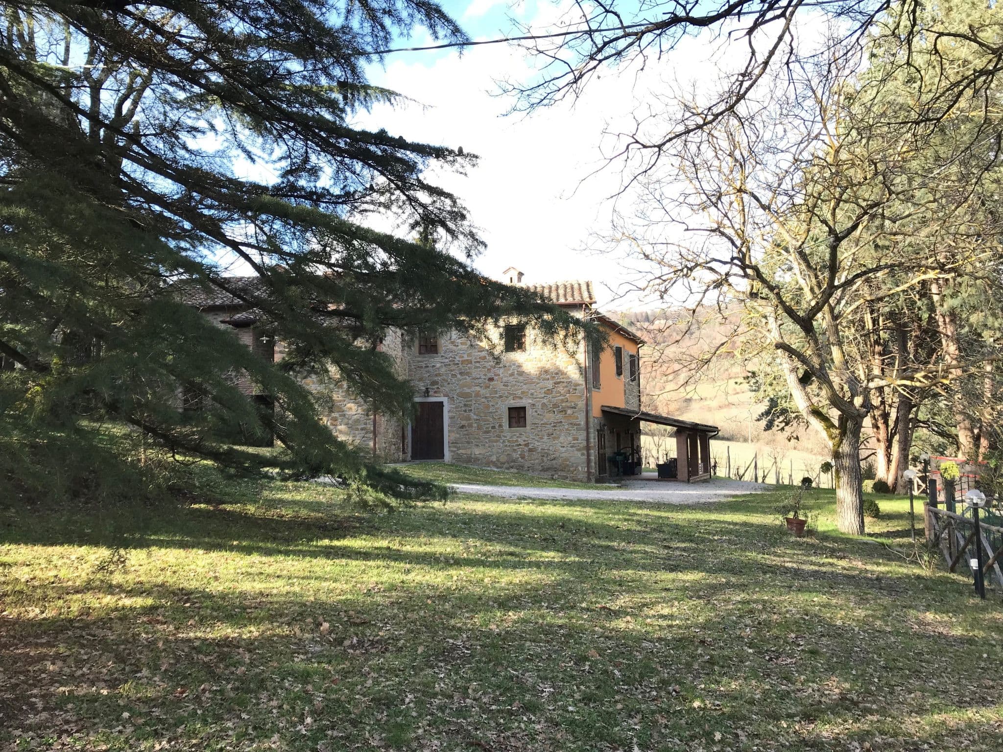 Gallery Image 21