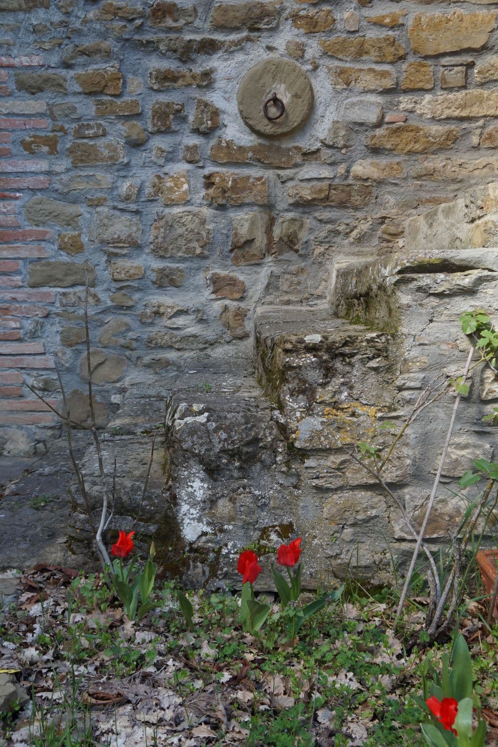 Gallery Image 27