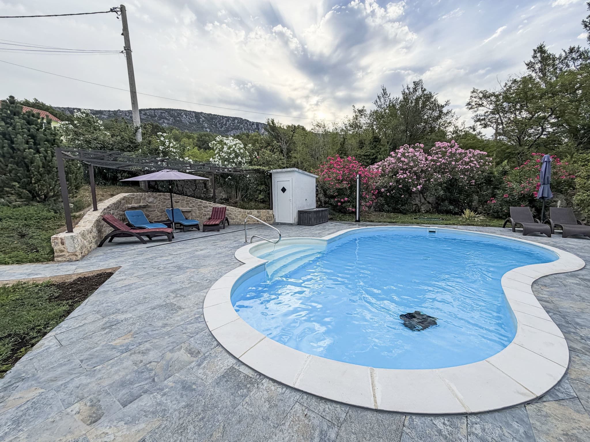 Pool Outdoor
