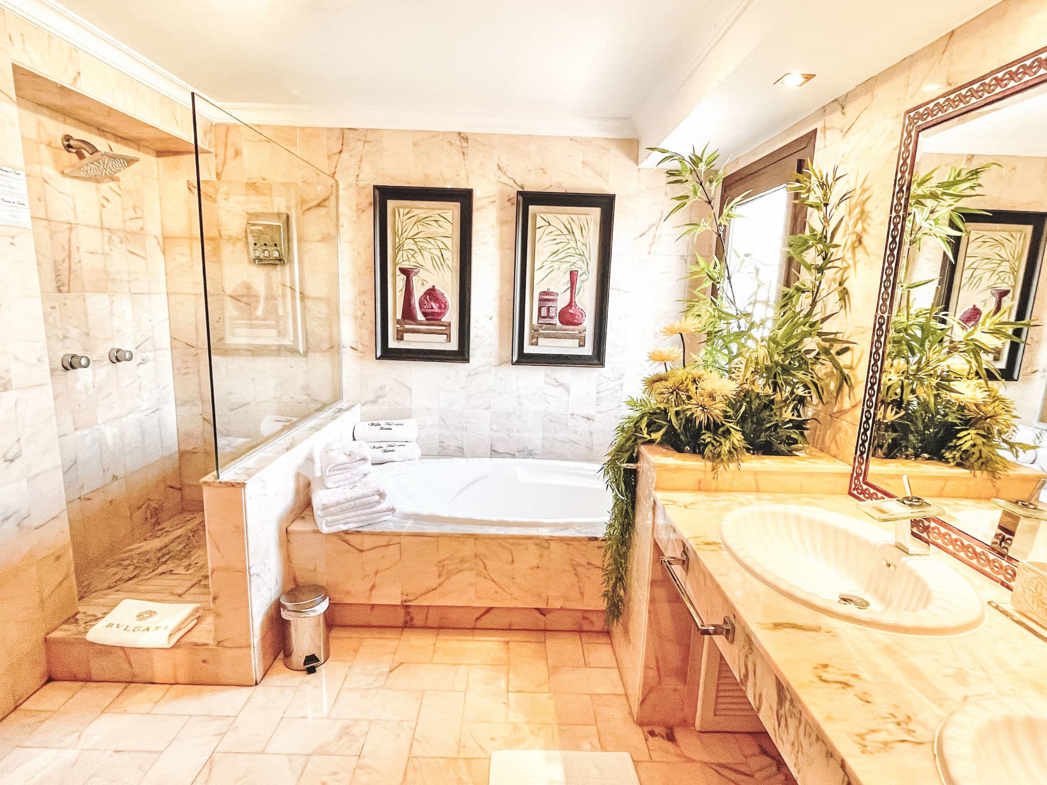 Bathroom / Wellness