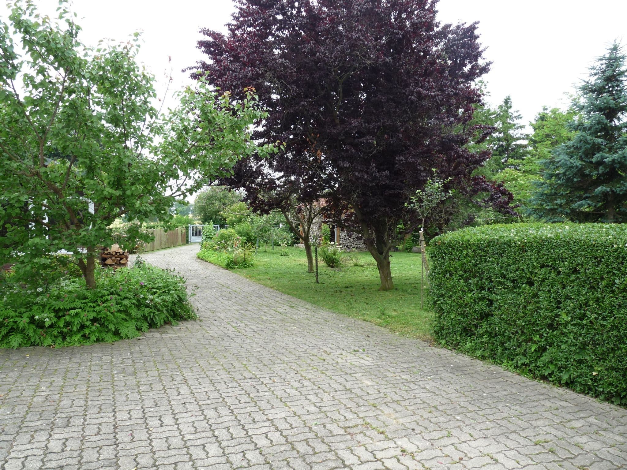 Gallery Image 48