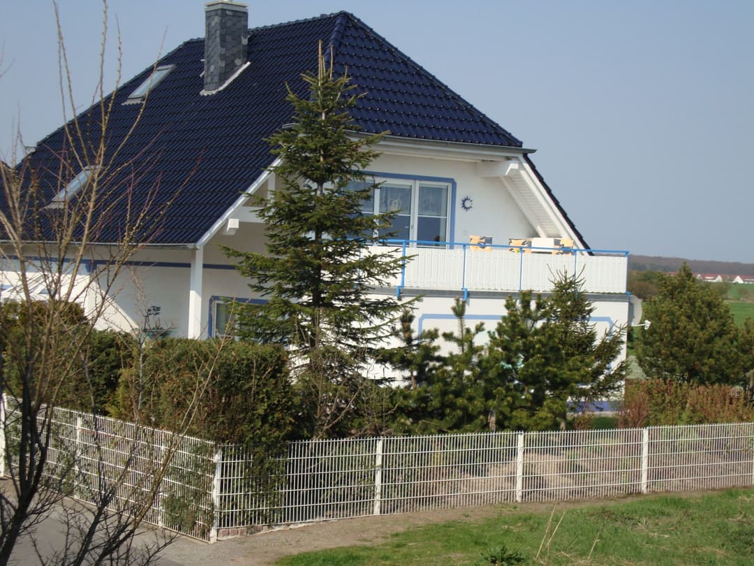 Large Image