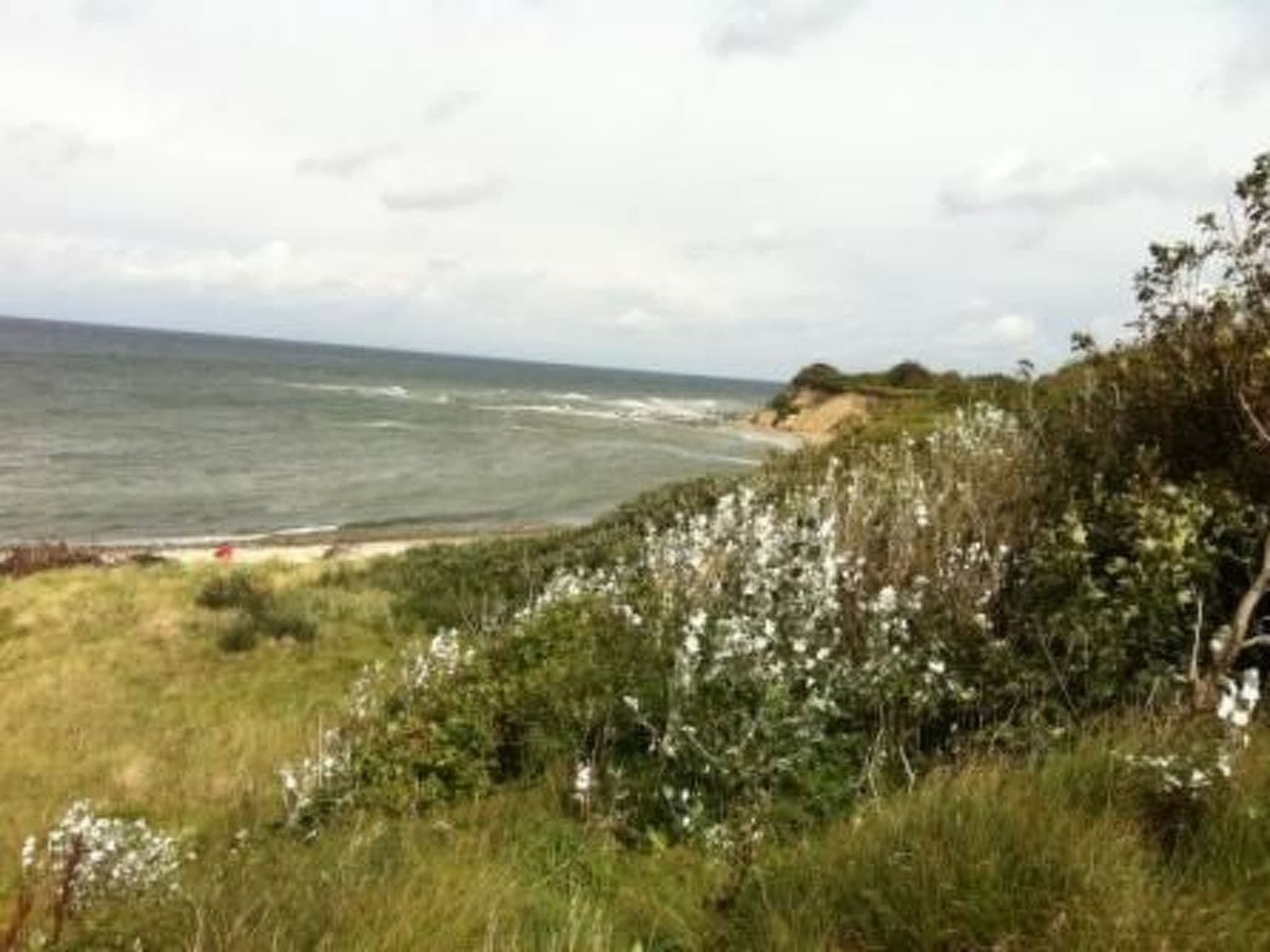 Gallery Image 29