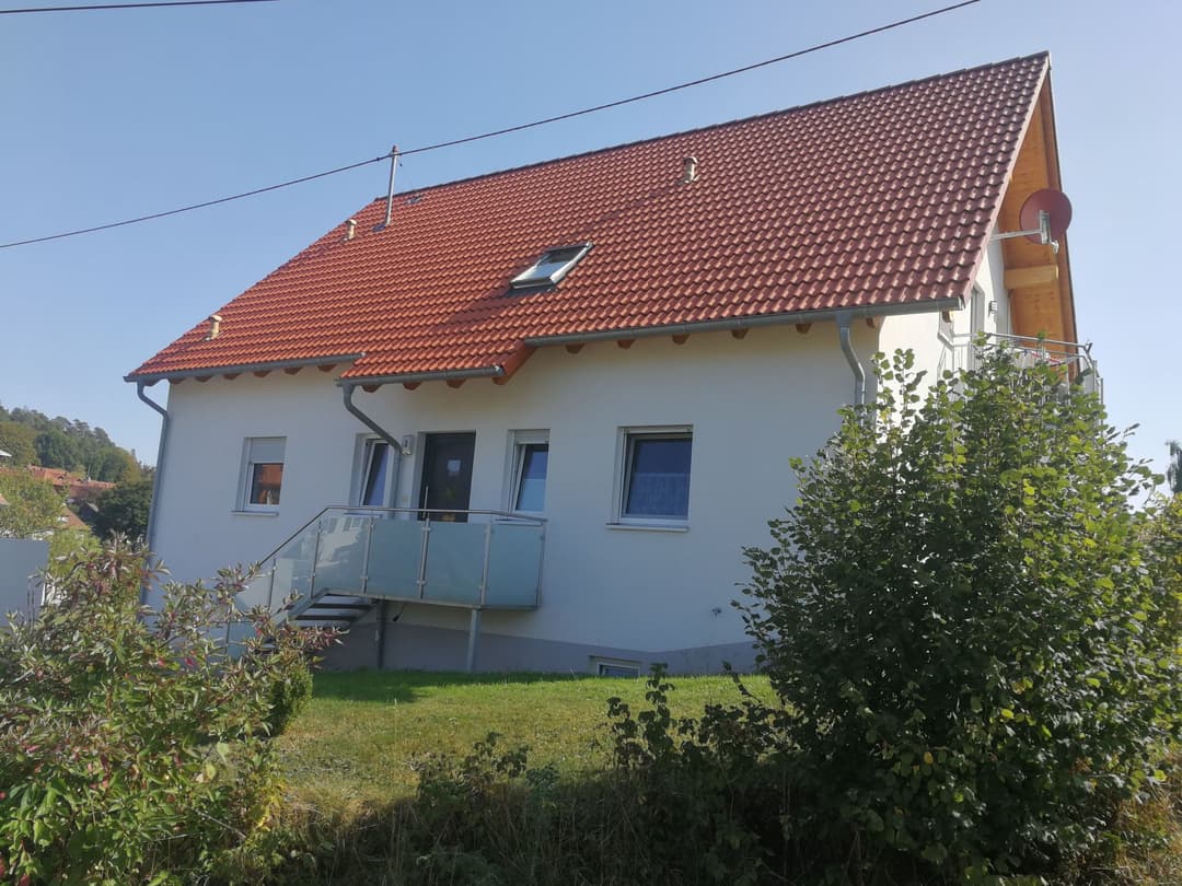 Large Image