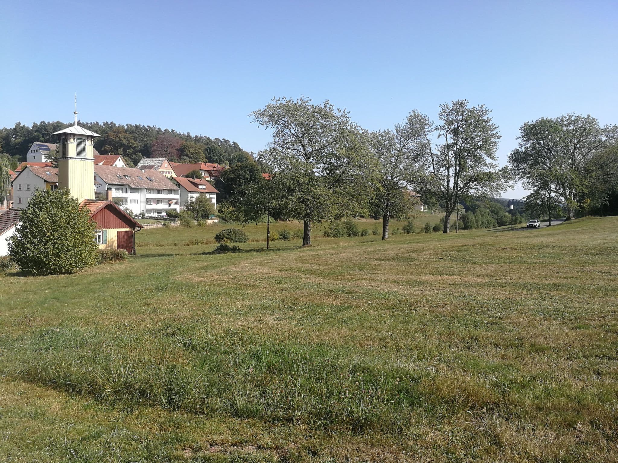 Gallery Image 12