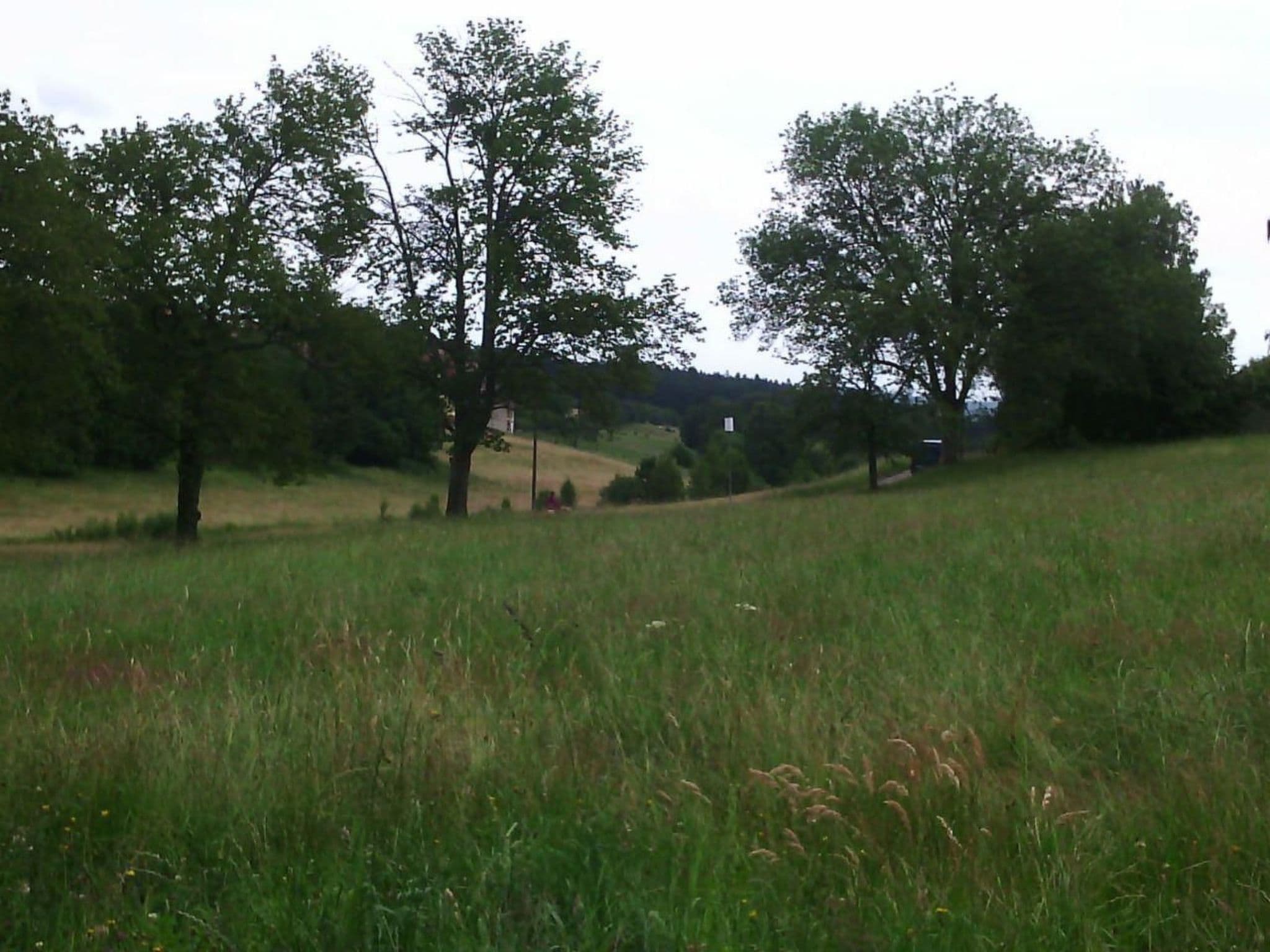 Gallery Image 14