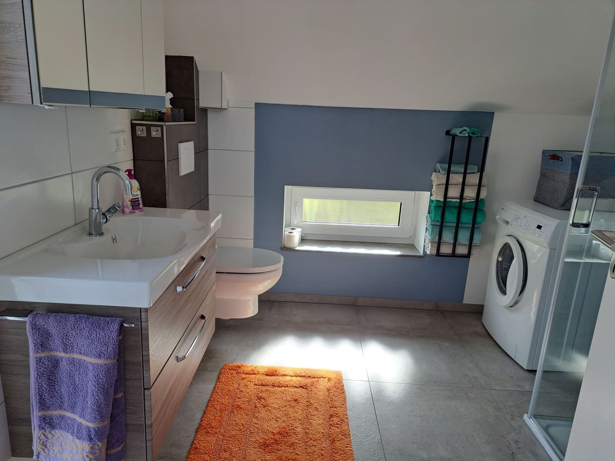 Bathroom / Wellness