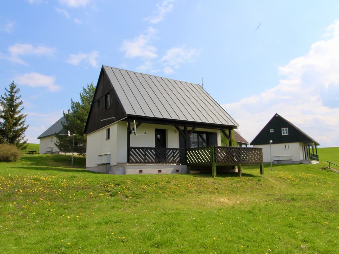 Large Image
