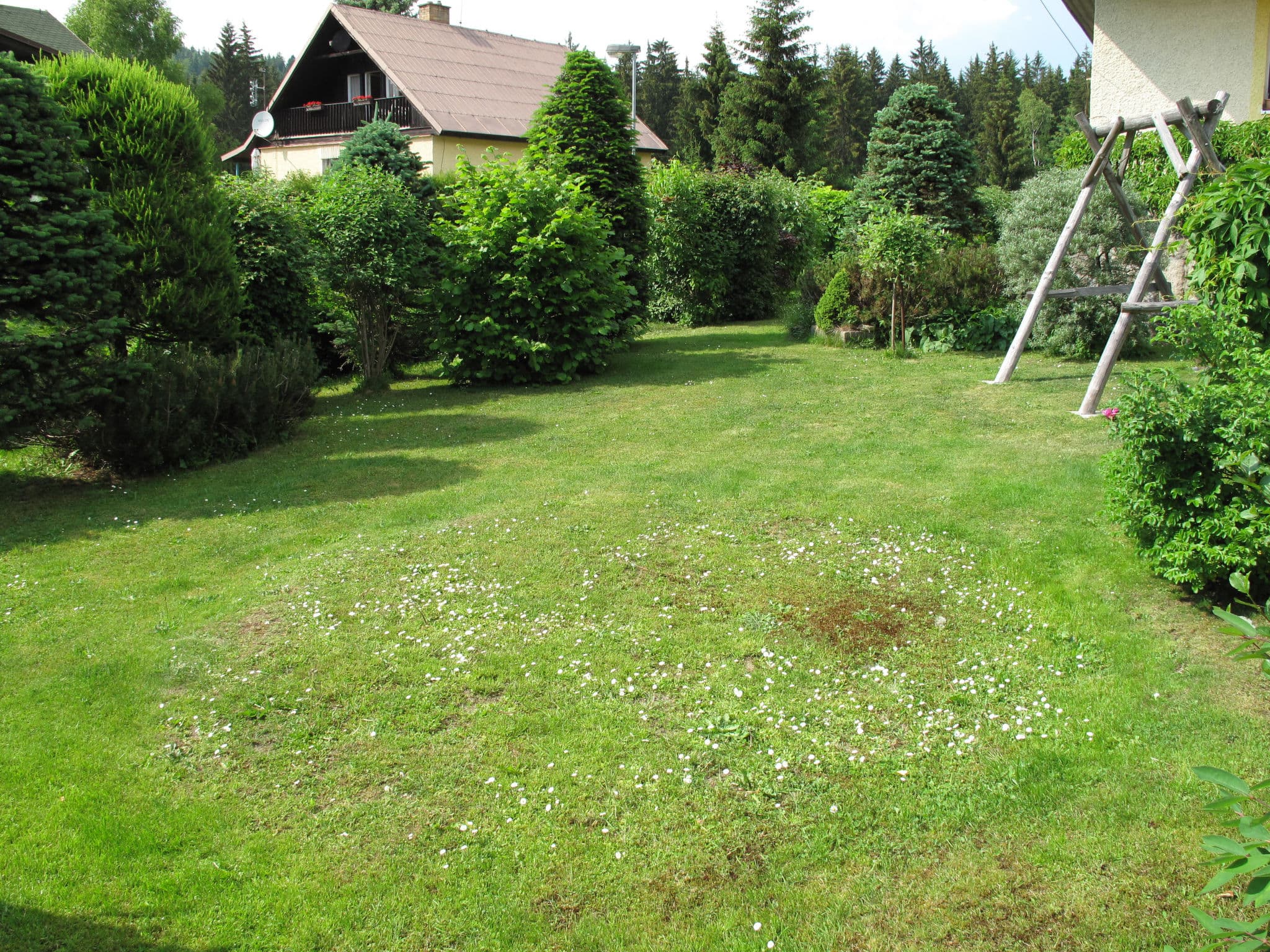 Outdoor