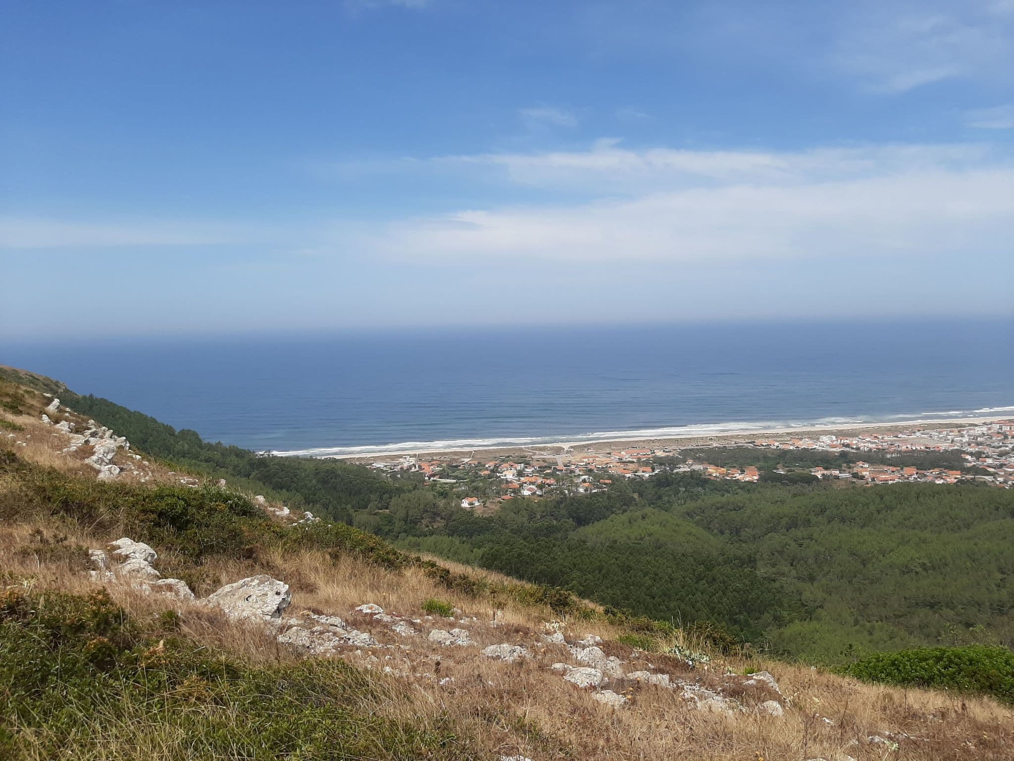View