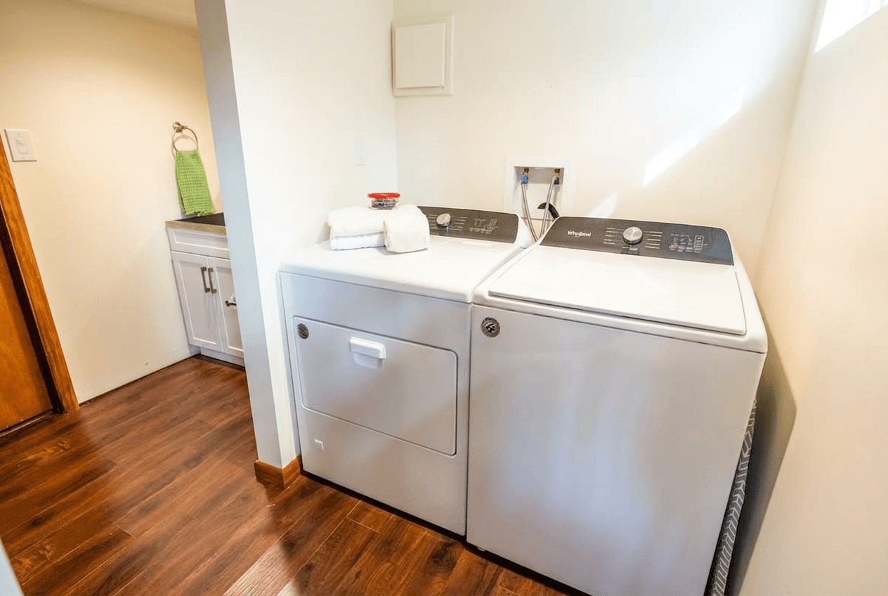 Laundry room. Stocked with detergent and cleaning supplies