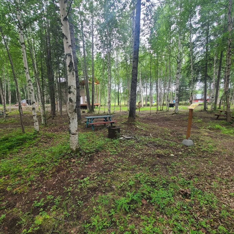 Large Image