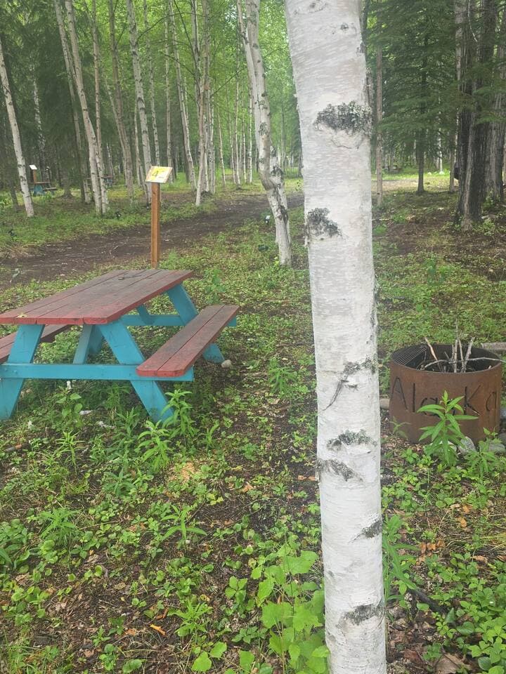 Gallery Image 6
