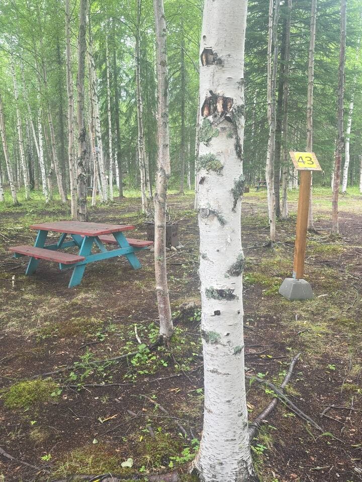 Large Image